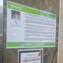 연세피움의원 티스토리
