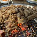 야초원 이미지