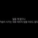 봉평메밀원 이미지