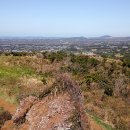 안덕농장 이미지