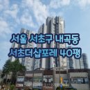 서초더샵포레, 서초더샵포레어린이집 | 서울아파트경매 내곡동 서초더샵포레 40평 급매 매매 경매물건