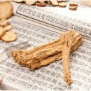 씨에스한방병원 이미지