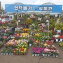 화원유치원 이미지