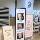 양지-3056 이미지