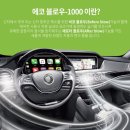 대승카 이미지