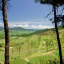 보성골프연습장 이미지