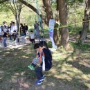 꿈이자라는땅 이미지