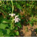 단천마을회관 이미지