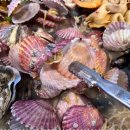 갯벌의조개 마곡점 이미지