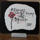 송현새마을금고 이미지