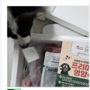 오케이펫미트