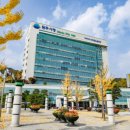 원주리라 이미지