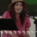 더위먹은 갈매기 이미지