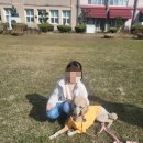 청웅초등학교 이미지