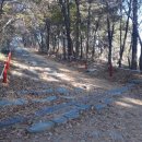 (주)브레이드 이미지