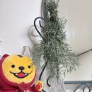 신세계 태양광발전소 이미지