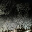 온천사우나 이미지