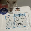 똘멍이네 이미지