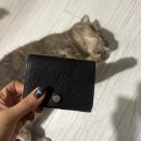 마니마니식당 | 251229-260104 새해 복 마니마니 I 프루쉬 센텀점 두바이초코 후기 I 수림식당 수영점 I 피자덕 광안점...