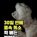 30일 안에 몸속 독소 쫙 빼는 방법? - 독소 배출 음식 3가지 이미지