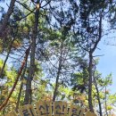 수리산 산림욕장 이미지