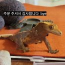 아담하다 이미지