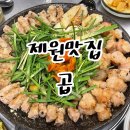 제주제원맛집_곱창 :: 신선한 황소곱창 잡내없이 깔끔한 &lt;제주곱&gt; 내돈내산 후기