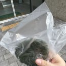 서무경로당 이미지