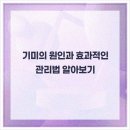 라플레르의원 네이버블로그