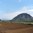 추사 유배길 - 3코스 사색의 길 Daum카페