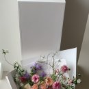 자스민무아르 이미지