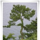 옥포읍사무소 | 거제도_2