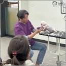 보성애견 이미지