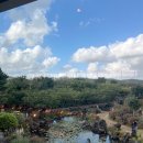 한마음카랜드 | 아리아리의 육아일상 / 25년11월 / 제주 맛집 / 제주살이 / 빼빼로데이 / 이모랑 / 바베큐파티 / 관광지...