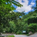 다그라스통나무민박 이미지