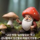 오늘은능이칼국수 이미지