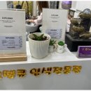 오땡큐(부평점)