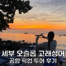 동방카 | 세부 오슬롭 고래상어 투어 가는 법 시간 비용 단독 공항 픽업