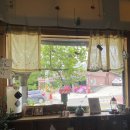 커피소녀 이미지