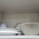 칠천도편백숲 이미지