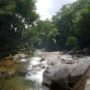 꽃사슴산장 이미지