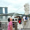 6736 | 싱가포르여행 가볼만한곳 머라이언파크 가는법 포토존