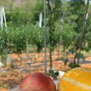 승일농장 이미지