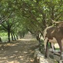 태신농장 이미지