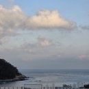 수원-0239 이미지