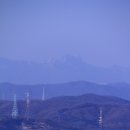 서존