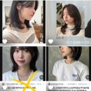 엘시크 이미지