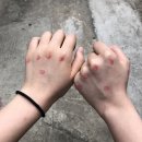 (주)피카디리월드 | 서울극장/종로 영화관 The seoul cinema 후기