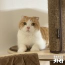 유기볼트 이미지