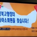 김채윤